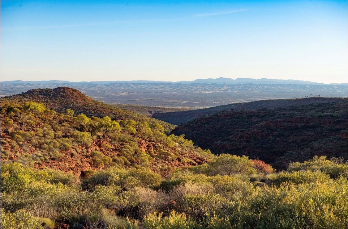 Palm Valley landscape